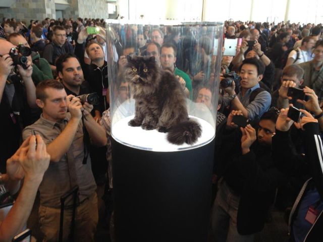 Morning Picdump