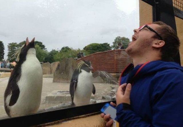morning picdump 54 pics 15.html - 54 HD Photos | Premium Gallery 2013