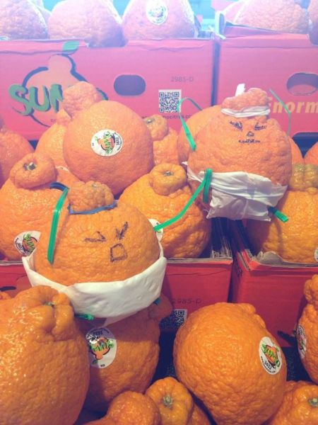 morning picdump 51 pics 26.html - 51 HD Photos | Premium Gallery 2013