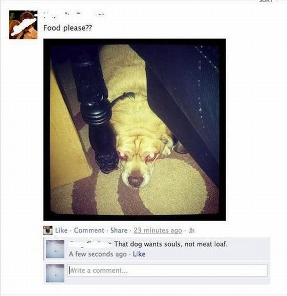 morning picdump 51 pics 26.html - 51 HD Photos | Premium Gallery 2013