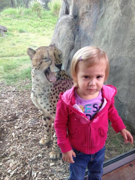 morning picdump 51 pics 26.html - 51 HD Photos | Premium Gallery 2013