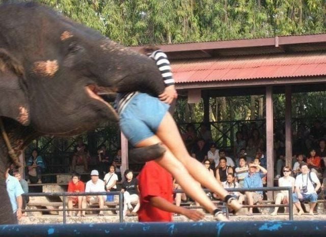 morning picdump 51 pics 26.html - 51 HD Photos | Premium Gallery 2013