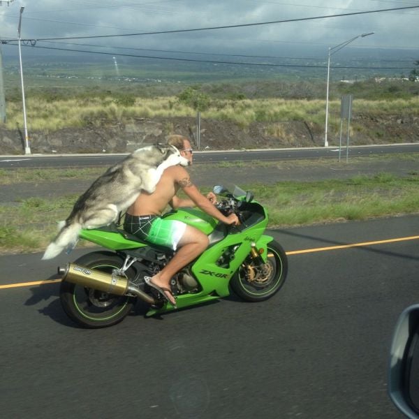 morning picdump 51 pics 26.html - 51 HD Photos | Premium Gallery 2013
