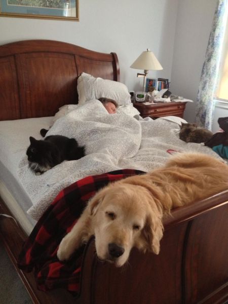 morning picdump 53 pics 5.html - 53 HD Photos | Premium Gallery 2013