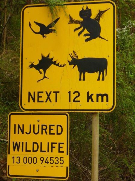 morning picdump 53 pics 5.html - 53 HD Photos | Premium Gallery 2013