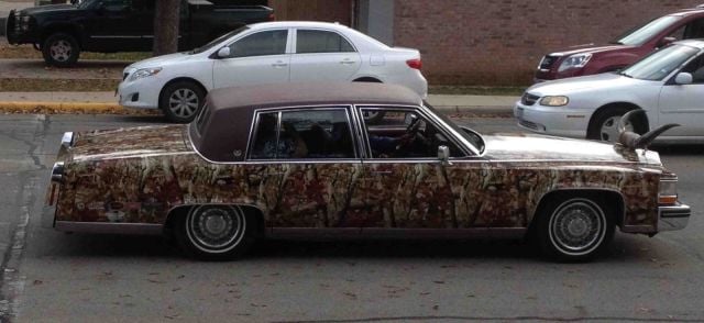 morning picdump 53 pics 5.html - 53 HD Photos | Premium Gallery 2013