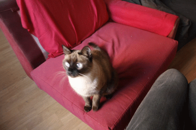 These Gifs Are So Satisfying to Watch