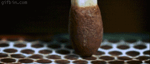 These Gifs Are So Satisfying to Watch
