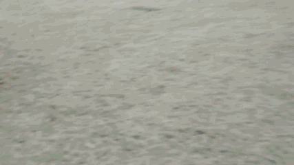 These Gifs Are So Satisfying to Watch