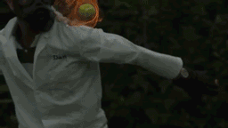 These Gifs Are So Satisfying to Watch