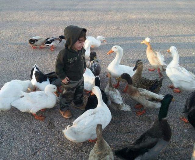 morning picdump 51 pics 3.html - 51 HD Photos | Premium Gallery 2013