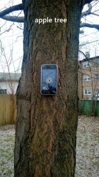 morning picdump 50 pics 18.html - 50 HD Photos | Premium Gallery 2013