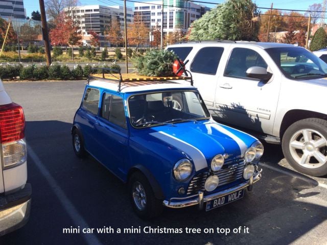 morning picdump 50 pics 18.html - 50 HD Photos | Premium Gallery 2013