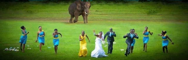 daily picdump 95 pics 38.html - 95 HD Photos | Premium Gallery 2013