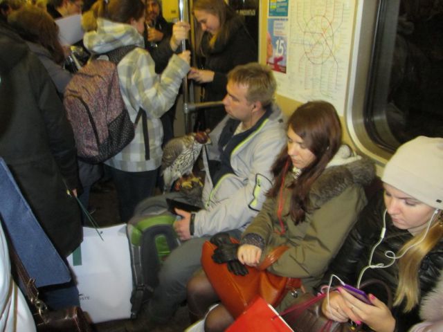 daily picdump 95 pics 38.html - 95 HD Photos | Premium Gallery 2013