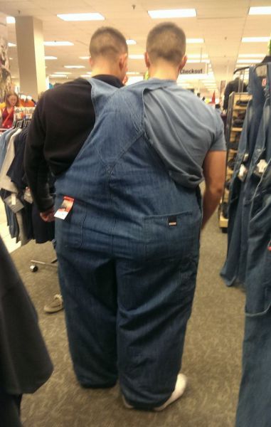 daily picdump 95 pics 38.html - 95 HD Photos | Premium Gallery 2013