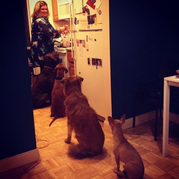 daily picdump 95 pics 38.html - 95 HD Photos | Premium Gallery 2013