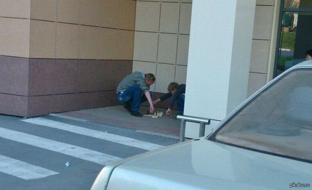 Morning Picdump
