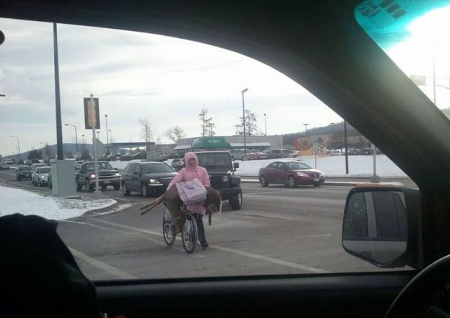 daily picdump weekend edition 94 pics 18.html - 94 HD Photos | Premium Gallery 2013