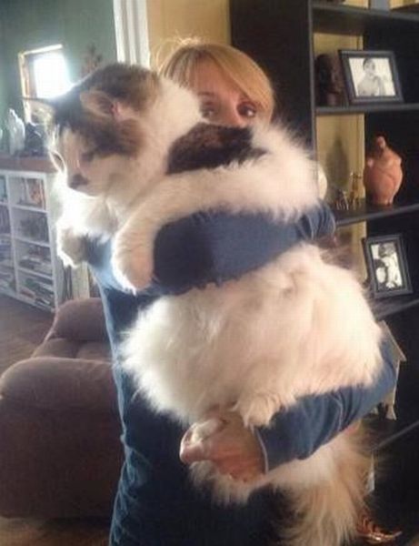 morning picdump 52 pics 5.html - 52 HD Photos | Premium Gallery 2013