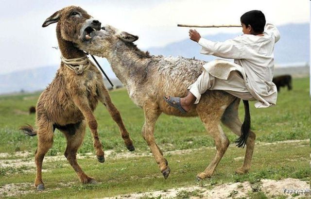 morning picdump 51 pics 1.html - 51 HD Photos | Premium Gallery 2013