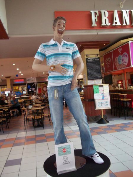Morning Picdump