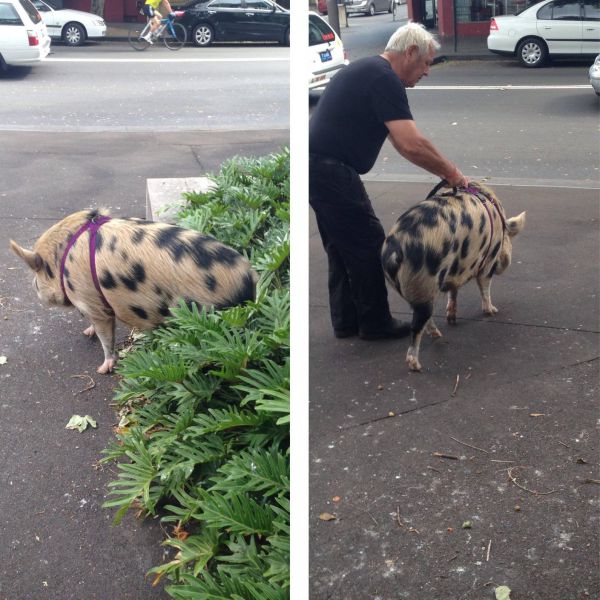 Morning Picdump