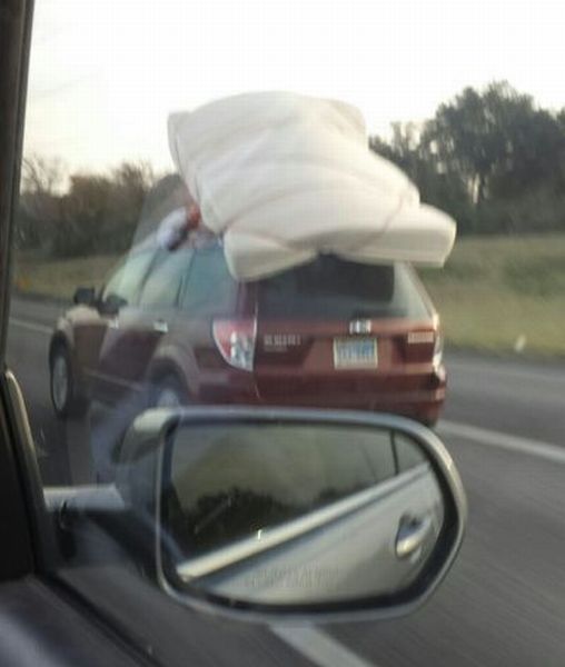 Morning Picdump