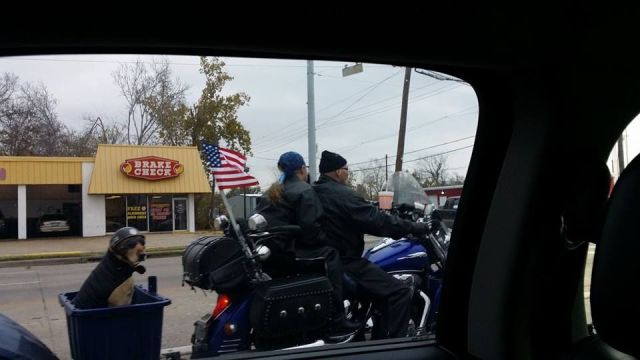 morning picdump 54 pics 16.html - 54 HD Photos | Premium Gallery 2013
