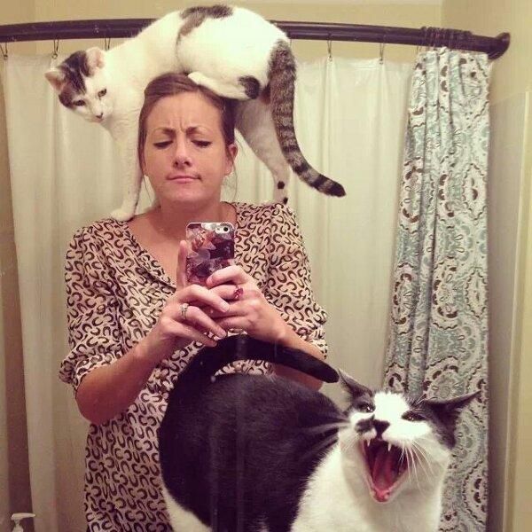 morning picdump 54 pics 16.html - 54 HD Photos | Premium Gallery 2013