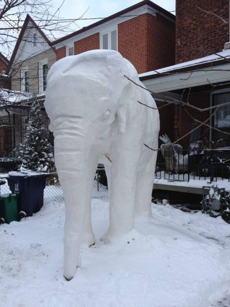 morning picdump 53 pics 19.html - 53 HD Photos | Premium Gallery 2013