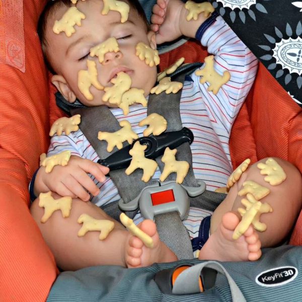 morning picdump 53 pics 19.html - 53 HD Photos | Premium Gallery 2013