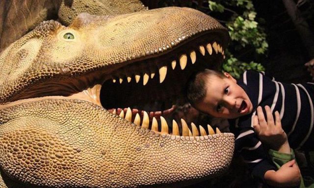 Morning Picdump