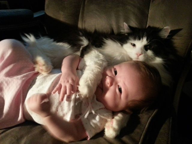 Morning Picdump