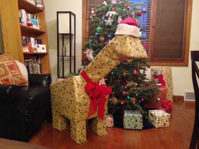 daily picdump 90 pics 30.html - 90 HD Photos | Premium Gallery 2013