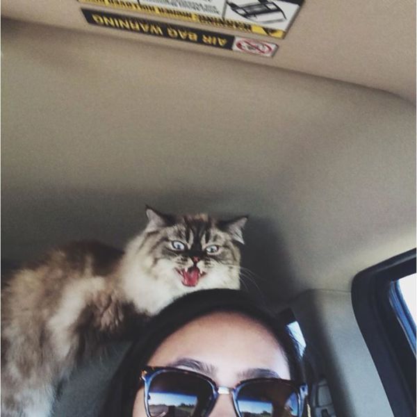 daily picdump 90 pics 30.html - 90 HD Photos | Premium Gallery 2013