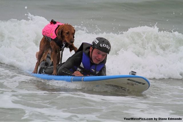 morning picdump 54 pics 7.html - 54 HD Photos | Premium Gallery 2013