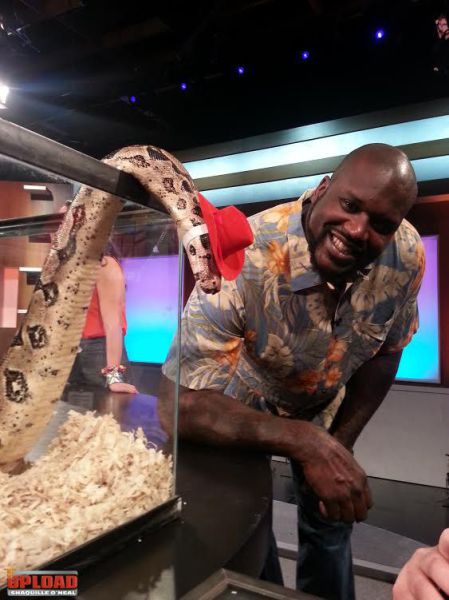 morning picdump 54 pics 7.html - 54 HD Photos | Premium Gallery 2013