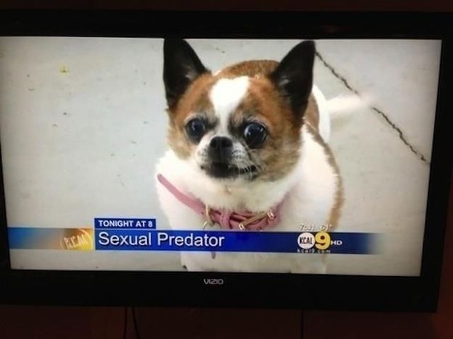 morning picdump 64 pics 27.html - 64 HD Photos | Premium Gallery 2013