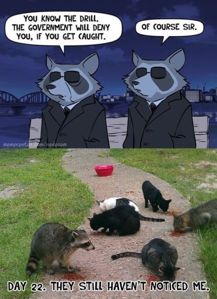 morning picdump 62 pics 4.html - 62 HD Photos | Premium Gallery 2013