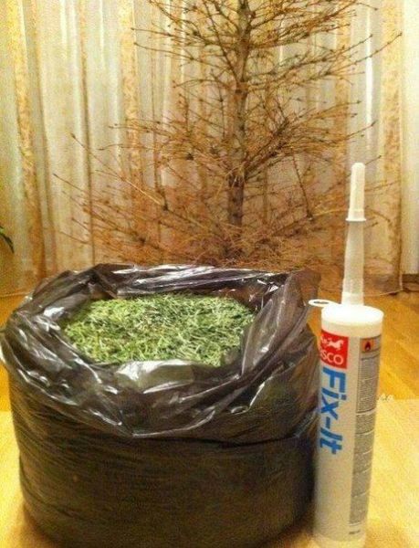 morning picdump 62 pics 4.html - 62 HD Photos | Premium Gallery 2013