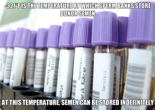 interesting facts about peoples sex life 18 pics 1.html - 18 HD Photos | Premium Gallery 2014