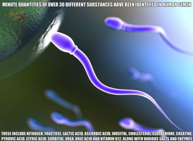 interesting facts about peoples sex life 18 pics 1.html - 18 HD Photos | Premium Gallery 2014