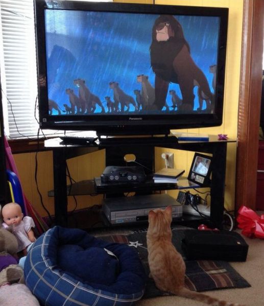 morning picdump 58 pics 20.html - 58 HD Photos | Premium Gallery 2014