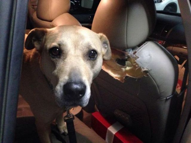 morning picdump 58 pics 20.html - 58 HD Photos | Premium Gallery 2014