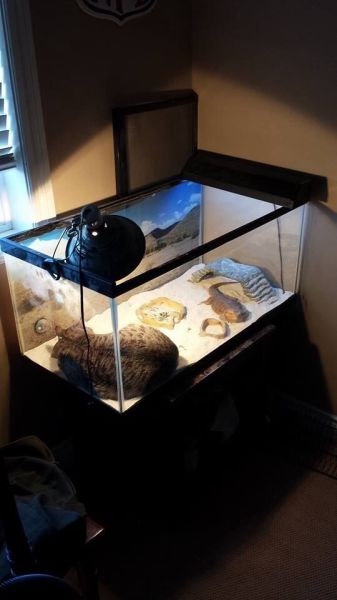 morning picdump 58 pics 20.html - 58 HD Photos | Premium Gallery 2014