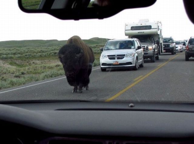 morning picdump 58 pics 20.html - 58 HD Photos | Premium Gallery 2014