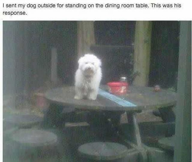 morning picdump 58 pics 20.html - 58 HD Photos | Premium Gallery 2014