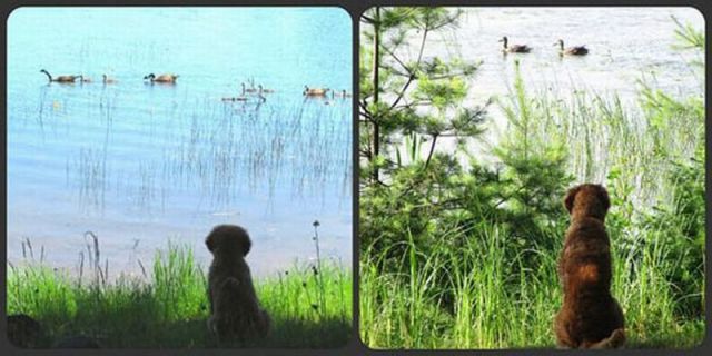 morning picdump 58 pics 20.html - 58 HD Photos | Premium Gallery 2014