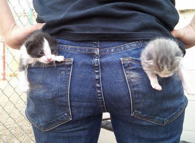 morning picdump 58 pics 20.html - 58 HD Photos | Premium Gallery 2014